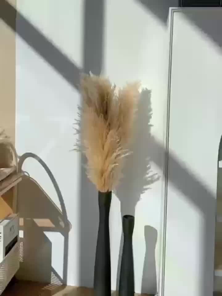 Ceramic Vase for Pampas Grass Minimalist Style Flower Vase Tall Skinny Design Perfect for Entryway Bookshelf Fireplace Home Decor Ideal Mother's Day Gift